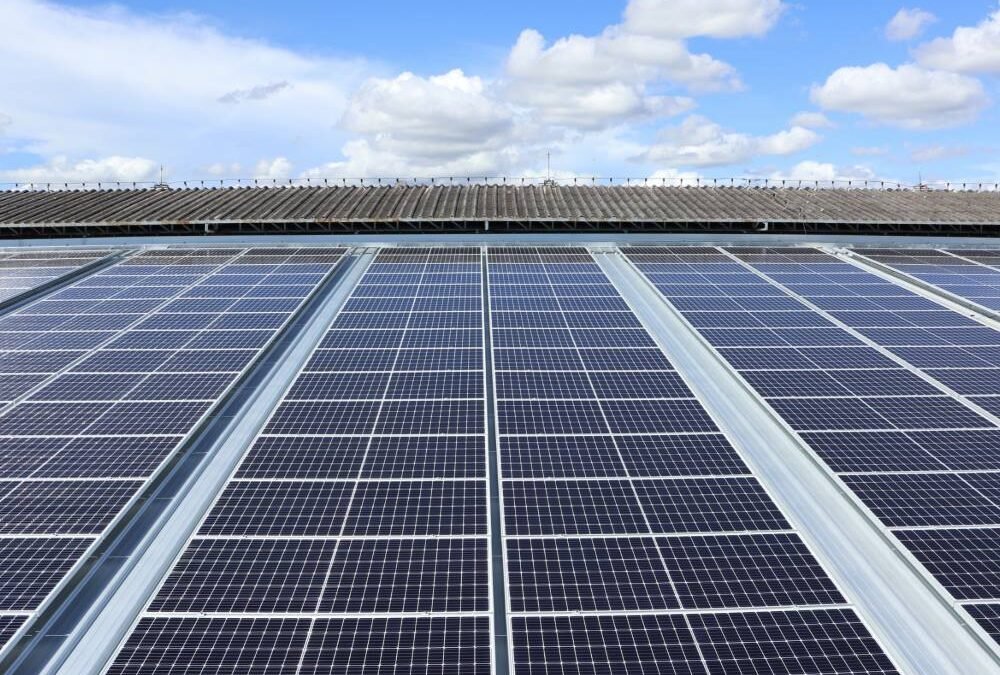 Monokristalline Solarmodule