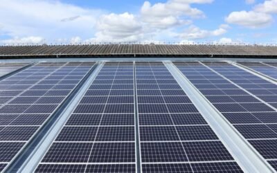 Monokristalline Solarmodule