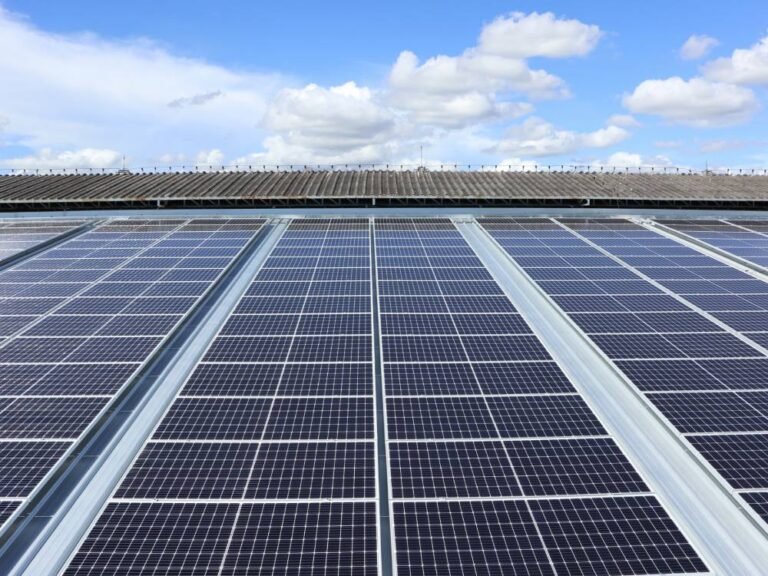 Monokristalline Solarmodule 1