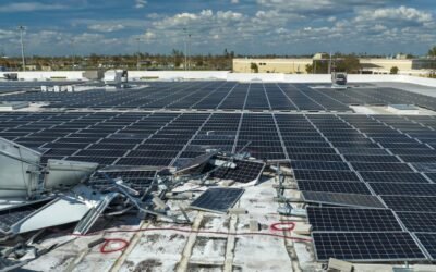 Sturm- und Hagelschäden