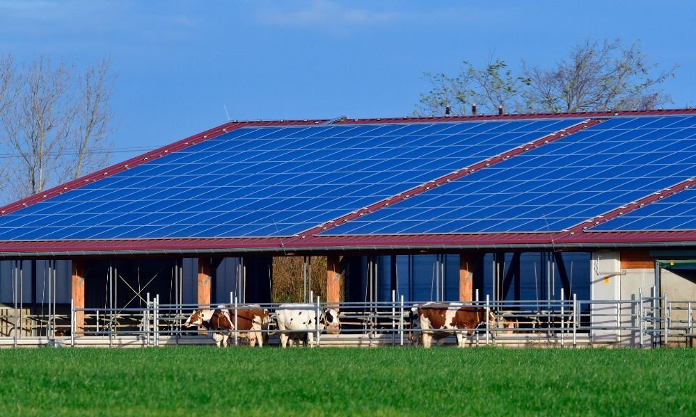 Solarteur in Rotenhain