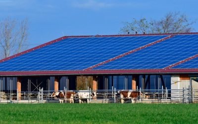 PV-Monteur finden in Kriftel